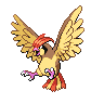 Pidgeotto default image