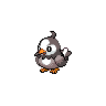 Starly default image