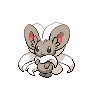Cinccino default image