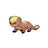 Yungoos default image