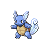 Wartortle default image